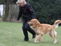 Bendix Obedience Workshop beim VdH Mauer 2016 (49)